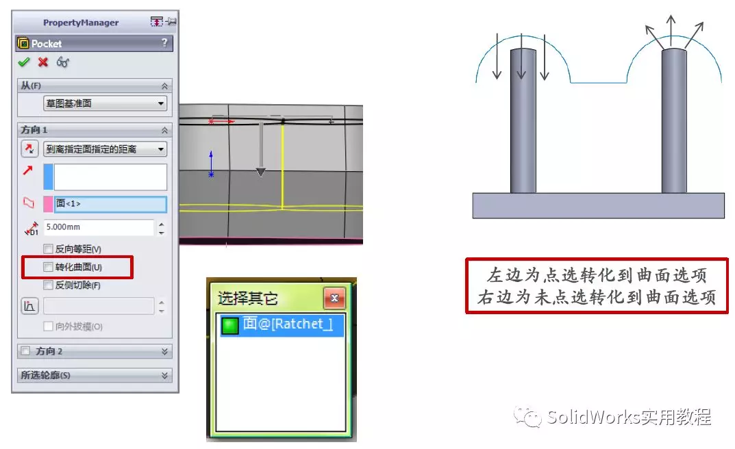 sw责在圈内的意思